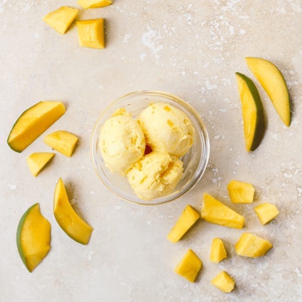Marshfield Mango Sorbet
