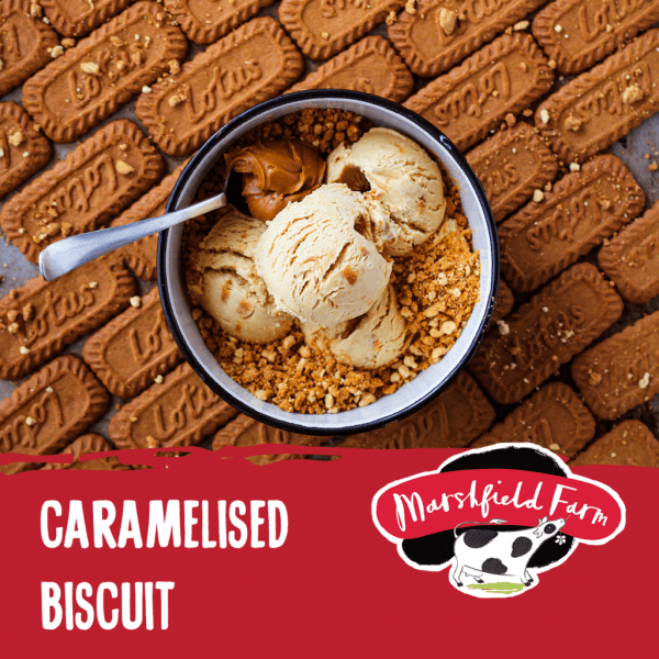 Marshfield Caramel Biscuit Ice Cream