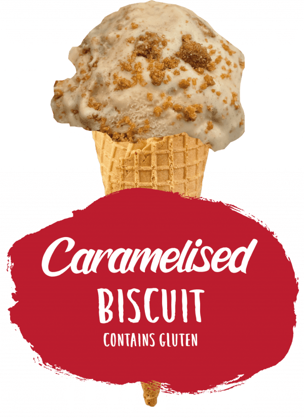 Marshfield Caramel Biscuit Ice Cream - Image 2