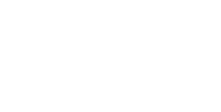 BSI 45001 Logo