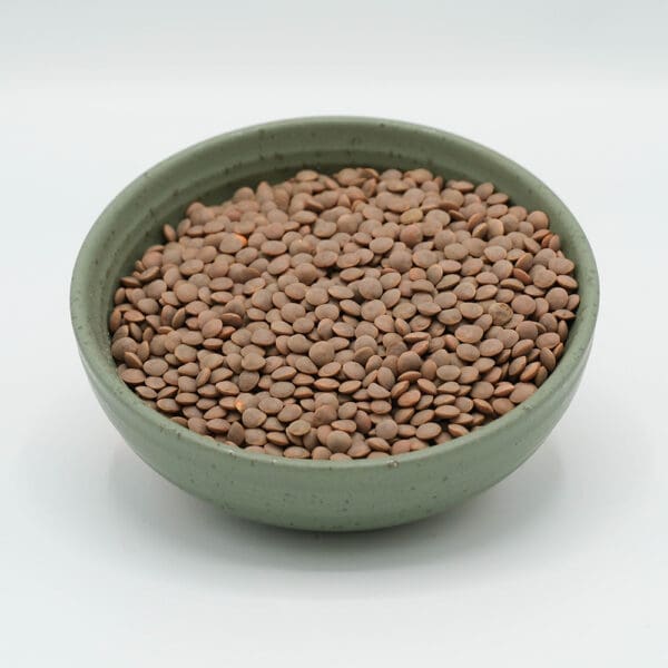 Organic Brown Lentils