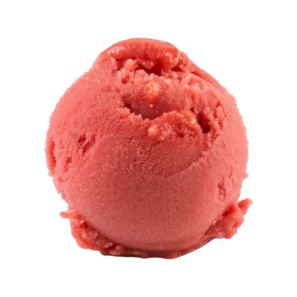 Childhay Manor Blood Orange Sorbet