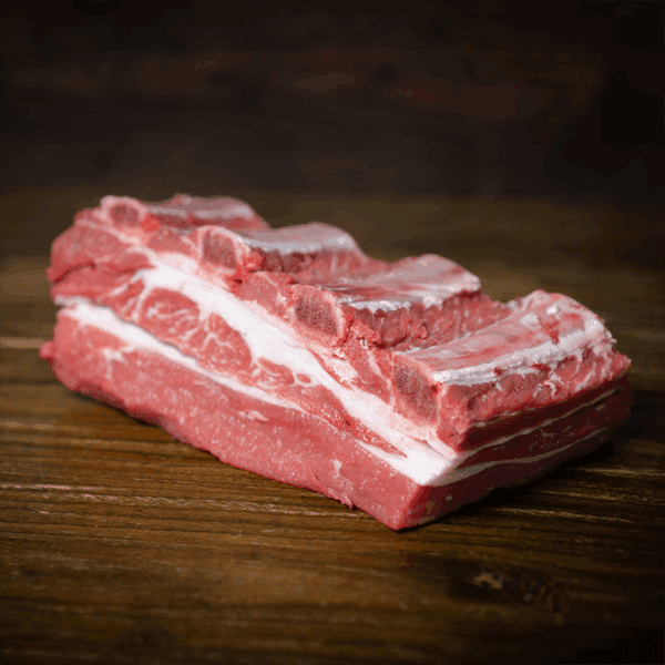 Jacobs Ladder