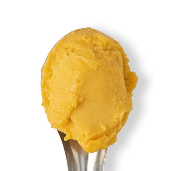 Baboo Mango Sorbet 5lt