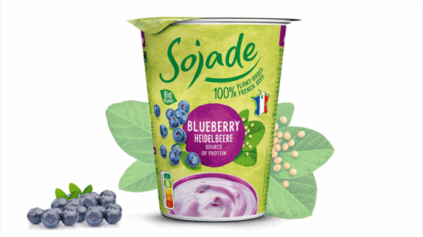 Sojade Organic Blueberry Soya Yogurt