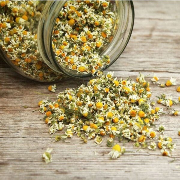 Chamomile Flowers