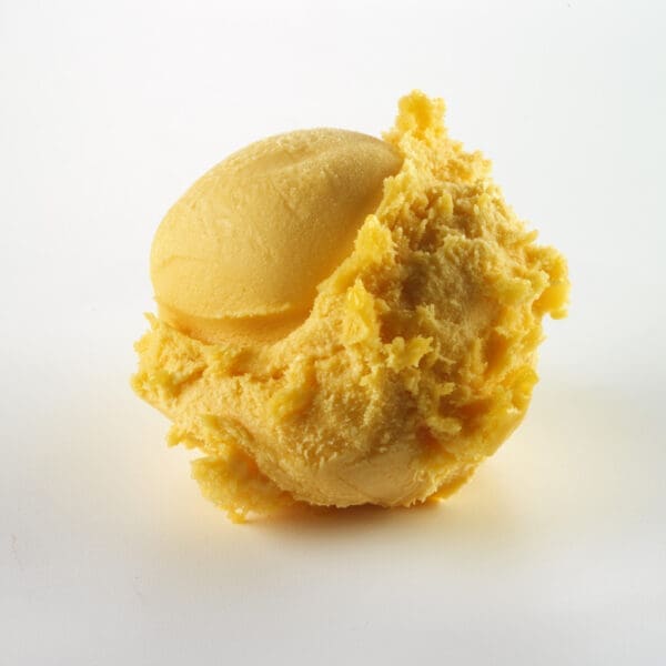 Gelarto Mango Sorbet