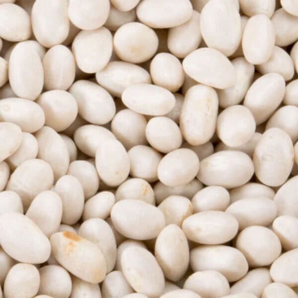 Organic Haricot (Navy) Beans