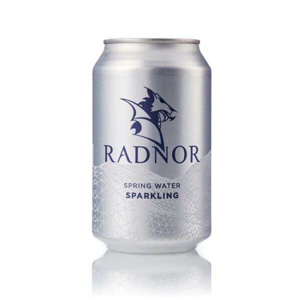 Radnor Sparkling Water Can - Image 2
