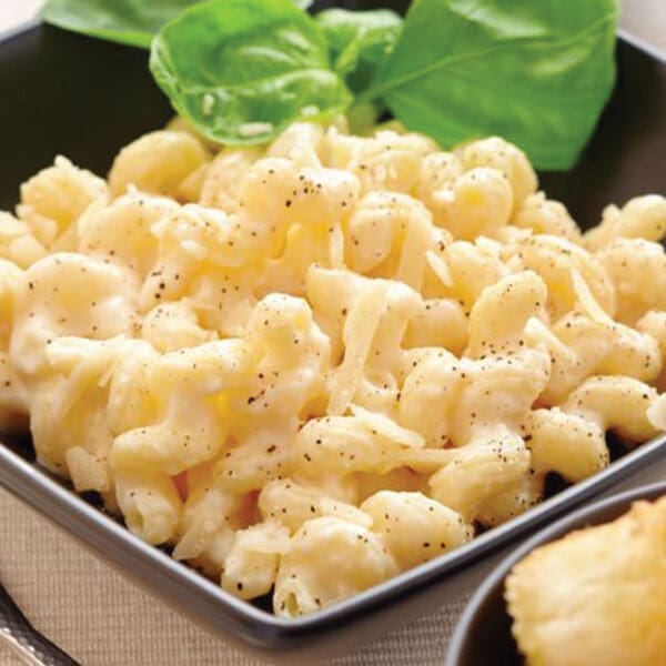 Authentic Kids Macaroni Cheese