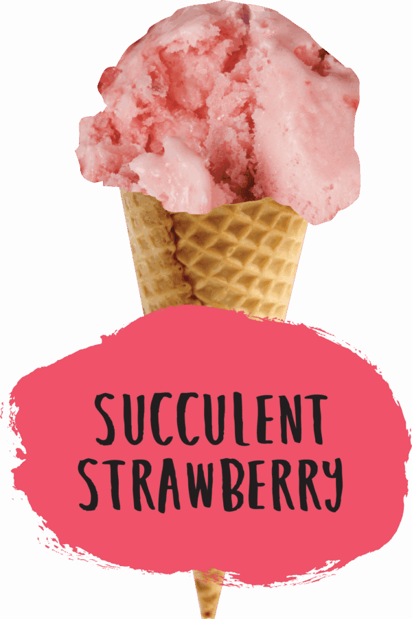 Marshfield Strawberry - Image 2