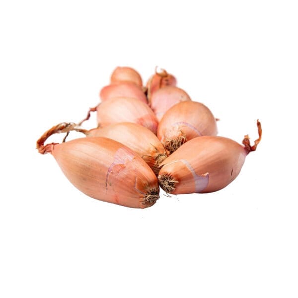 Long Shallots