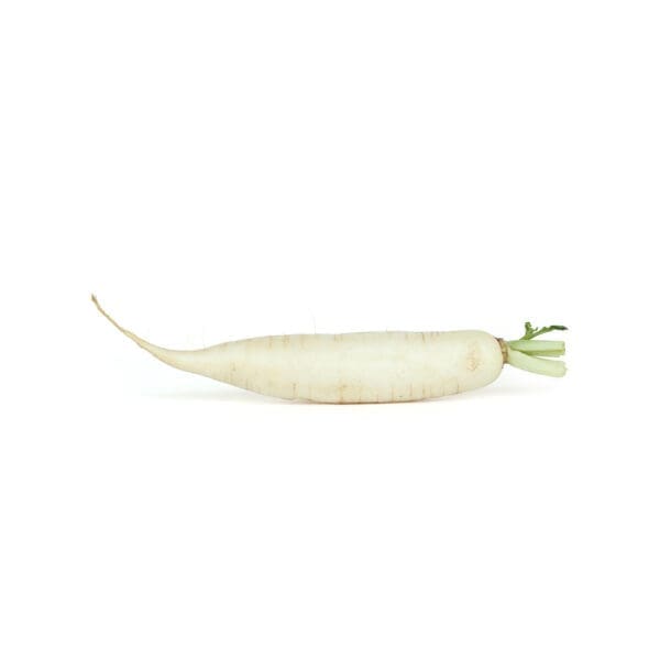 Mooli (White Radish)
