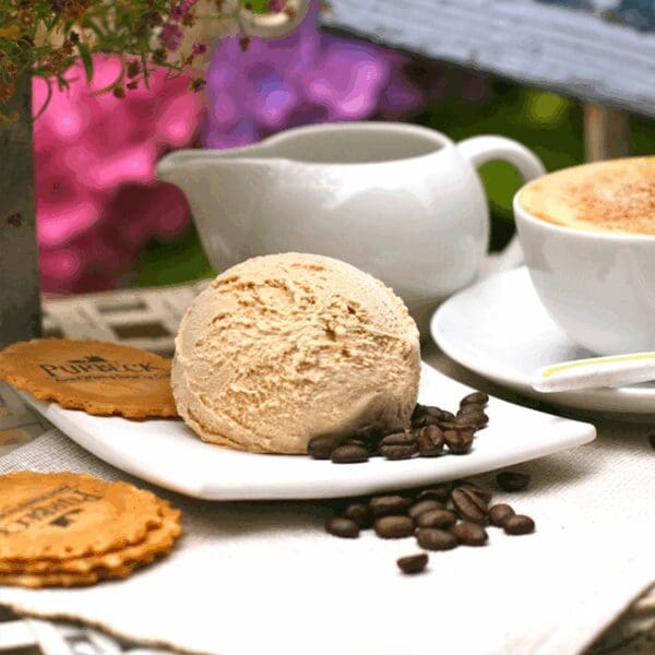 Purbeck Cappuccino Ice Cream