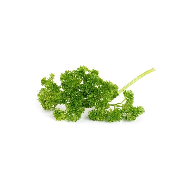 Curly Parsley