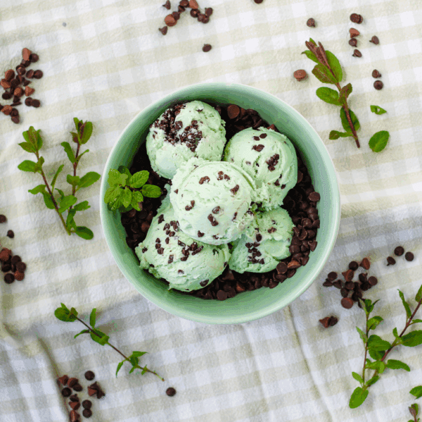 Marshfield Mint Choc Mini Tubs