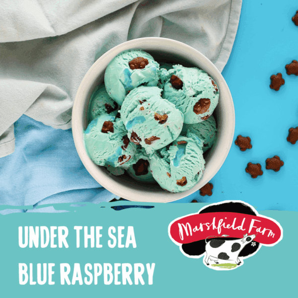 Marshfield Under the Sea Ice Cream