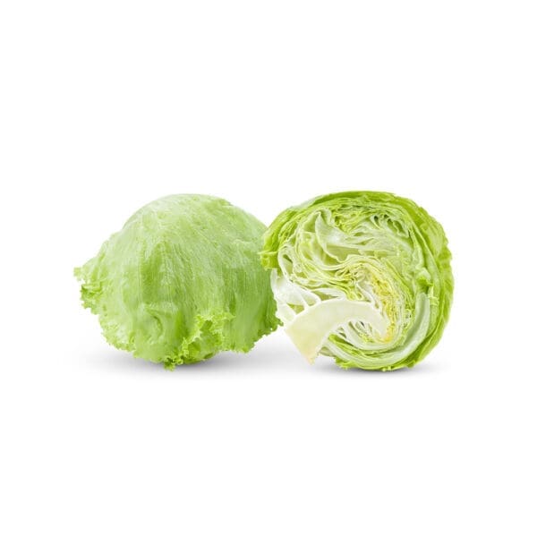 Iceberg Lettuce