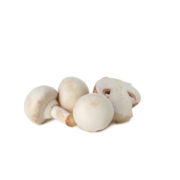 Button Mushroom