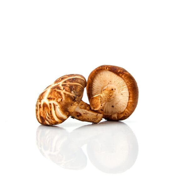 Fresh Shiitake Mushrooms