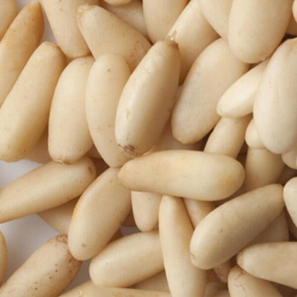 HF Pine Nuts