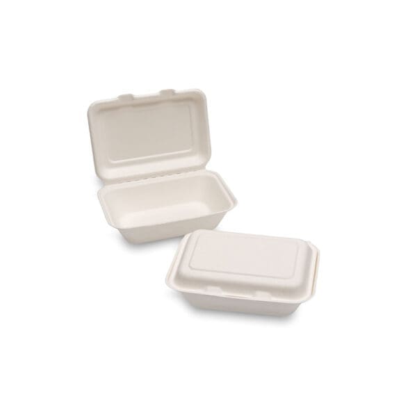 Bagasse Regular Box 7x5”