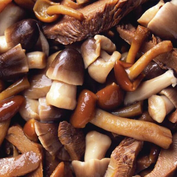 Marinated and Seasoned Wild Mushroom Mix