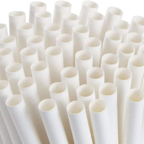 F'real Paper Straws