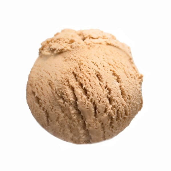 Childhay Manor Cappuccino Ice Cream