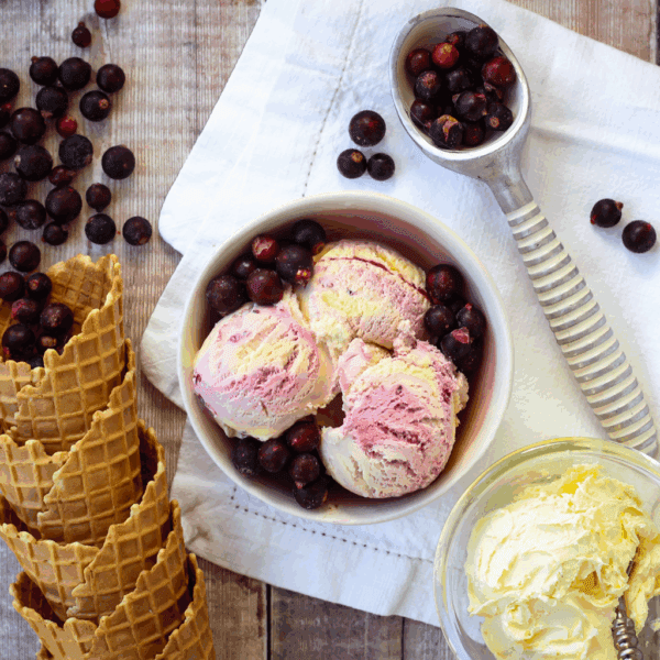 Marshfield Blackcurrant & Clotted Cream Mini Tub