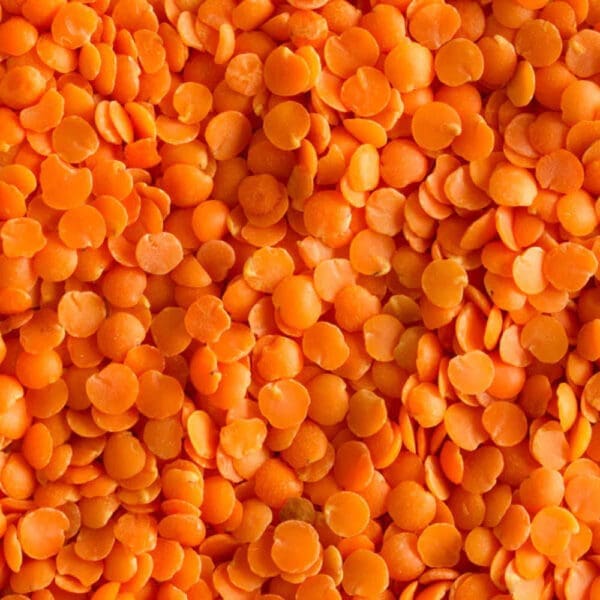 HF Red Split Lentils