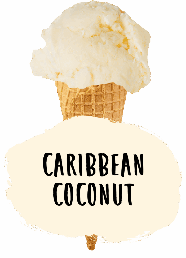 Marshfield Coconut - Image 2