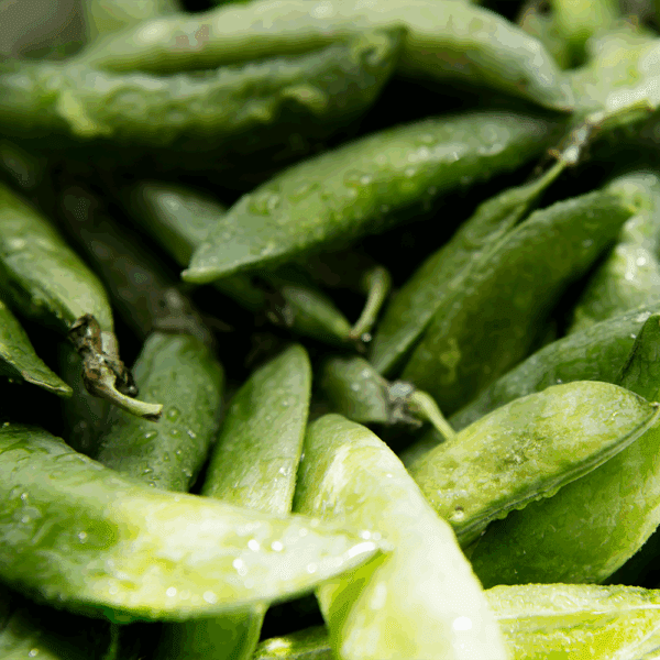 Fresh Peas in the Pod
