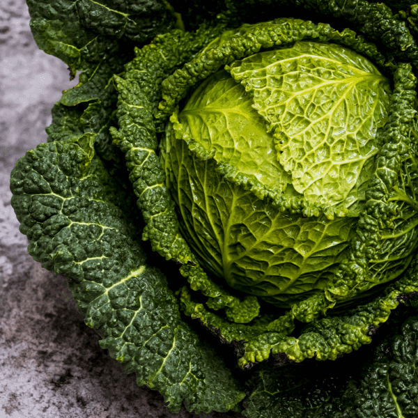 Savoy Cabbage Sliced 3mm