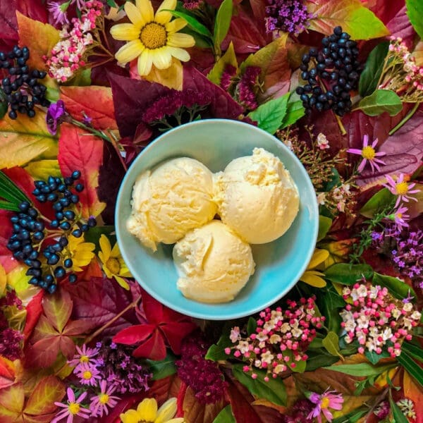 Marshfield Plant Based Vanilla Mini Tubs