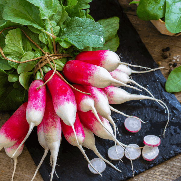 Breakfast Radishes