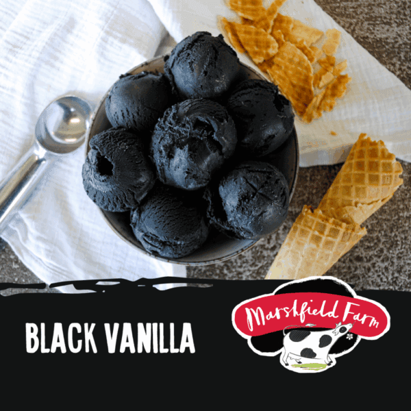 Marshfield Black Vanilla Ice Cream