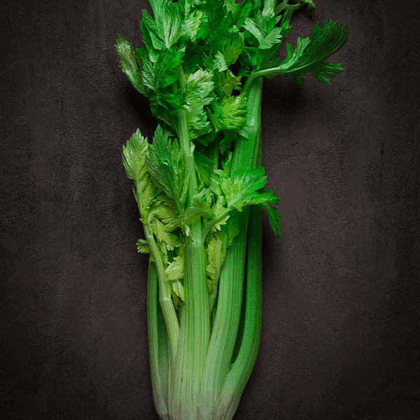Celery