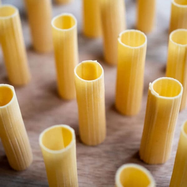 GG Tortiglioni