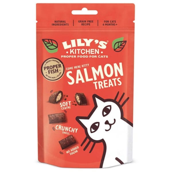 BTO Lily's Kitchen Salmon Pillow Treat