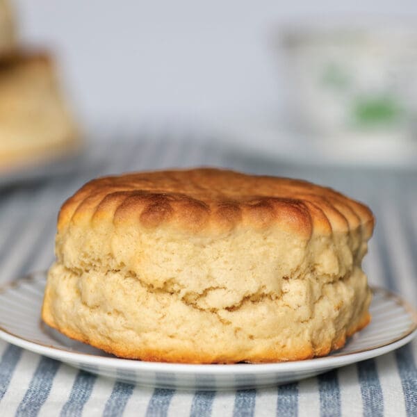 Haywood & Padgett All Butter Plain Scone