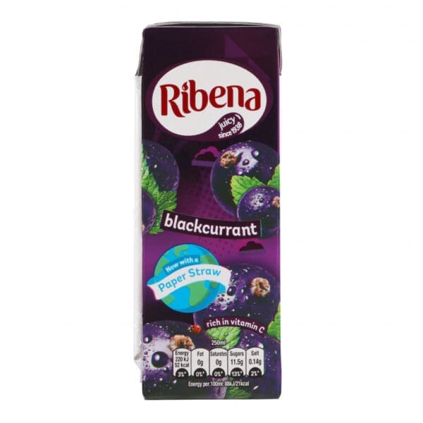 Ribena Blackcurrant Carton - Image 2