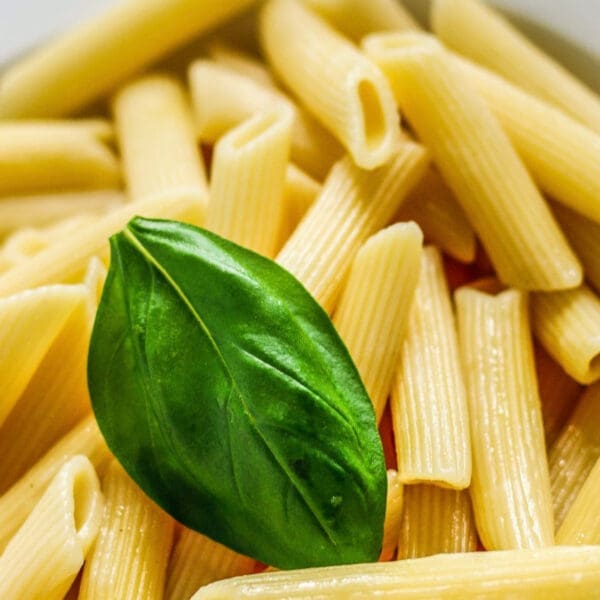 SW White Penne Pasta