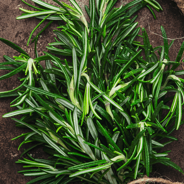 Rosemary