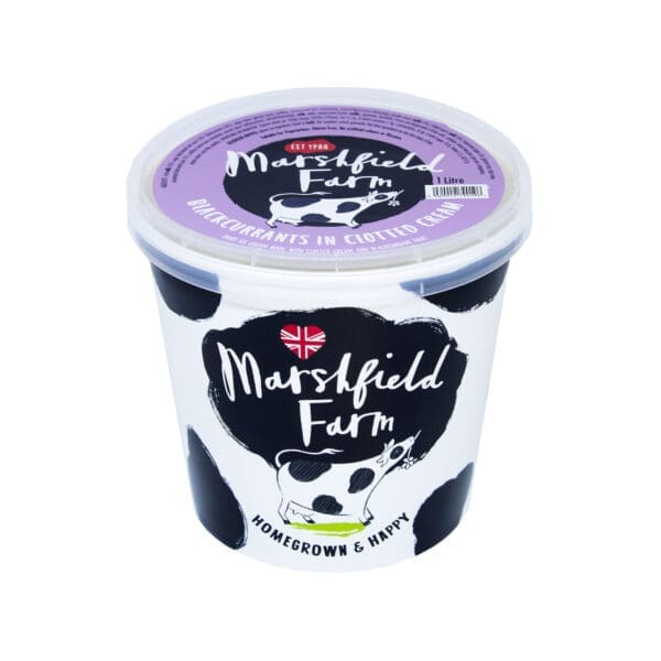 Marshfield Blackcurrant and Clotted Cream