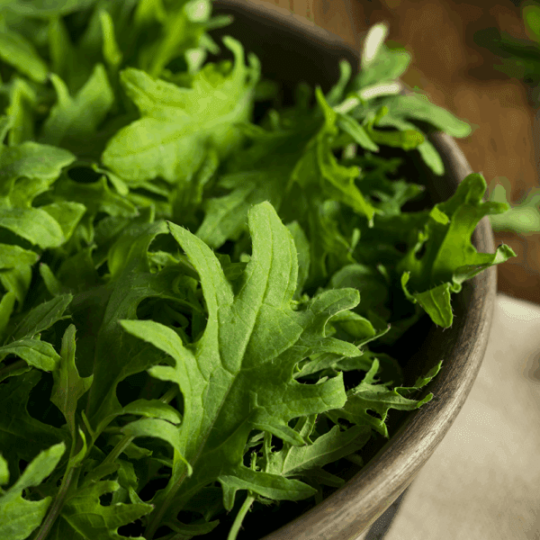 Roquette (Rocket)