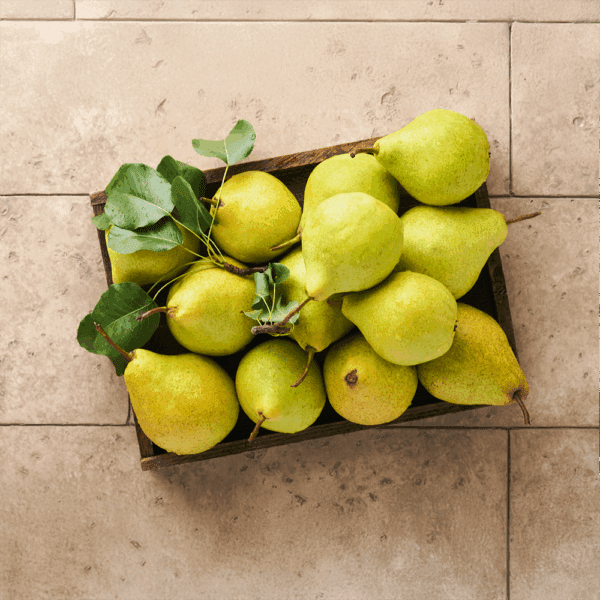 Packham Pears