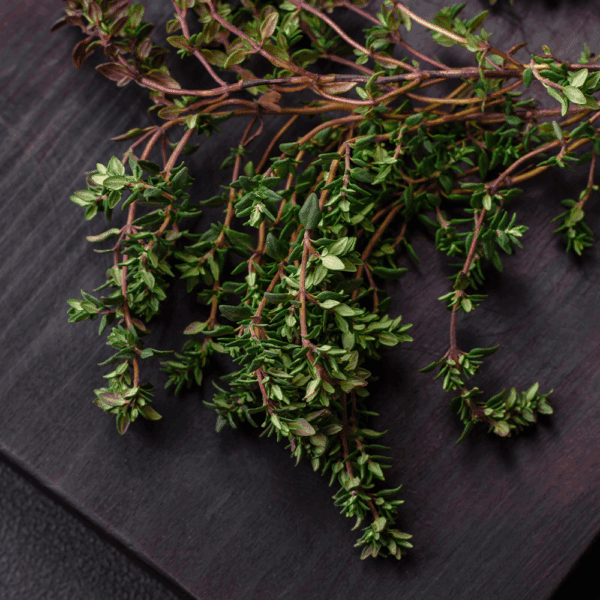 Thyme