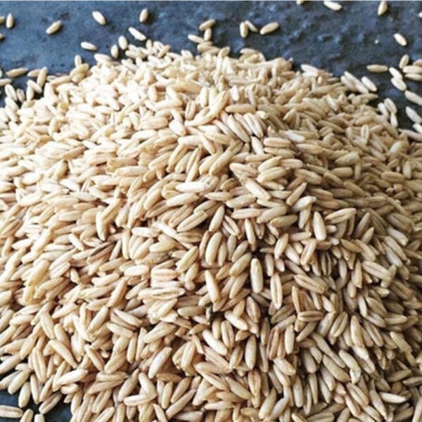 *CLR*Oat Groats
