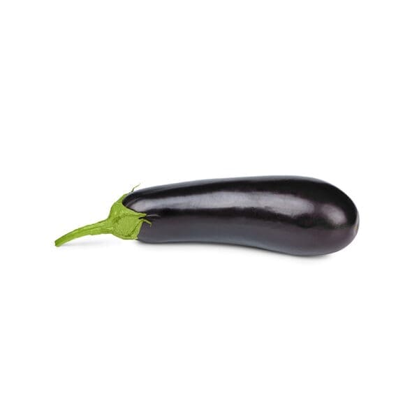 Aubergine